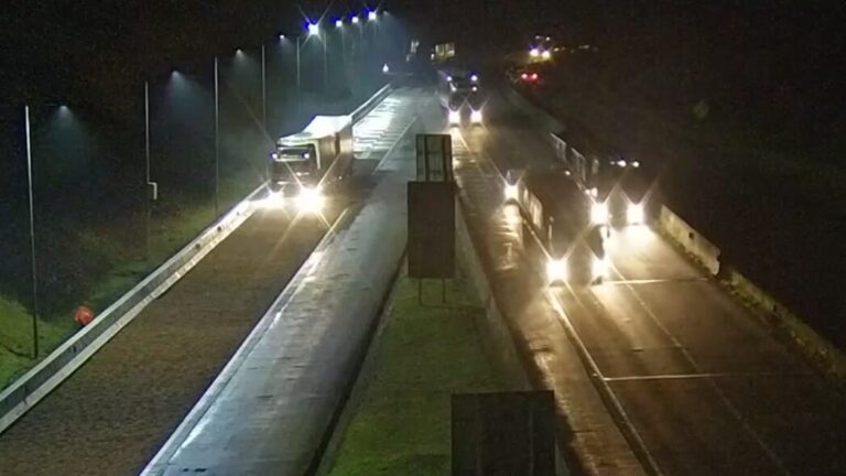 Caminhão com 56 t de frango evita acidente na BR-277