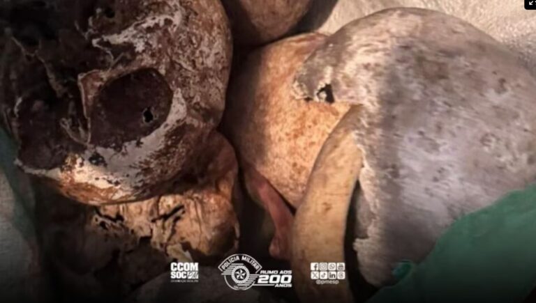 Polícia encontra crânios e ossos humanos em apartamento