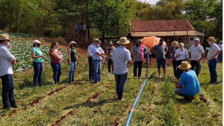 Inscrições abertas para PSS do IDR-Paraná com salários de até R$ 9,4 mil