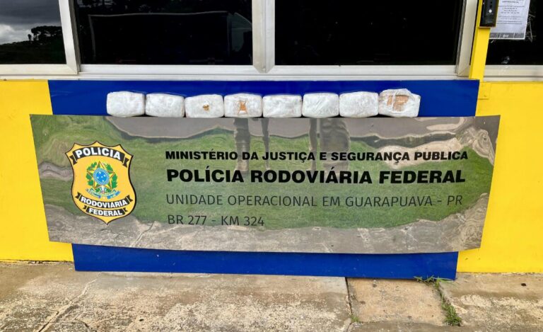 Grávida é presa com 8 kg de crack na BR-277