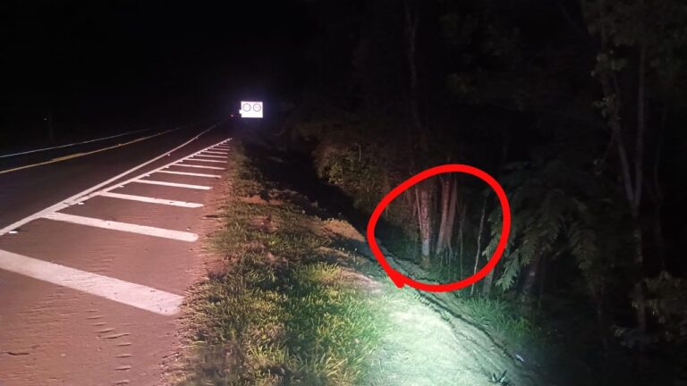 Corpo de jovem desaparecido é encontrado na BR-373, no Paraná