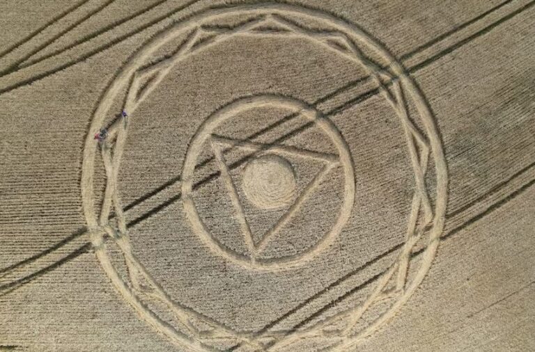 Desenhos misteriosos surgem em plantação de trigo em Ipuaçu