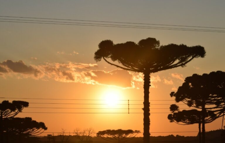 Calor e frio em Curitiba: máxima de 30°C na segunda-feira