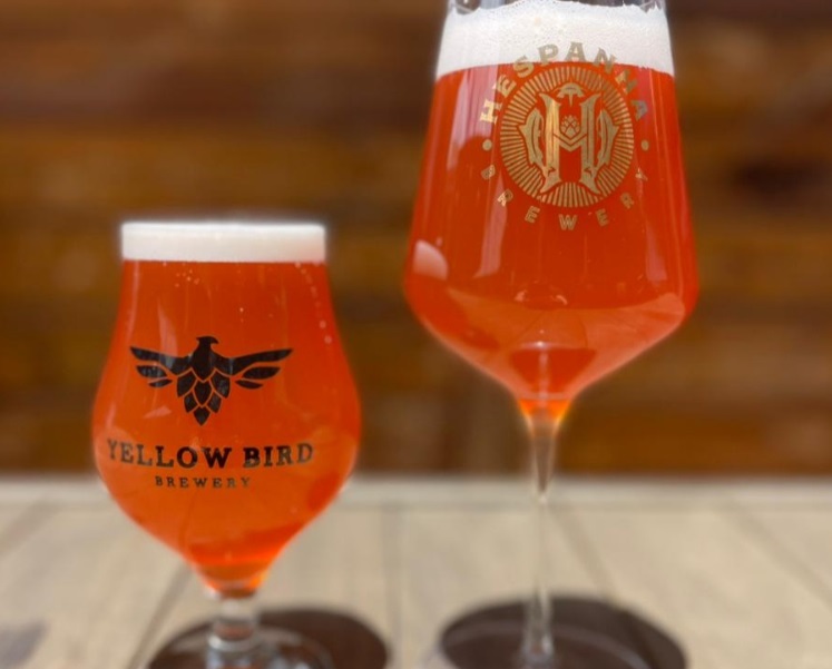 Cerveja de Pinhais conquista medalha de ouro em 2025