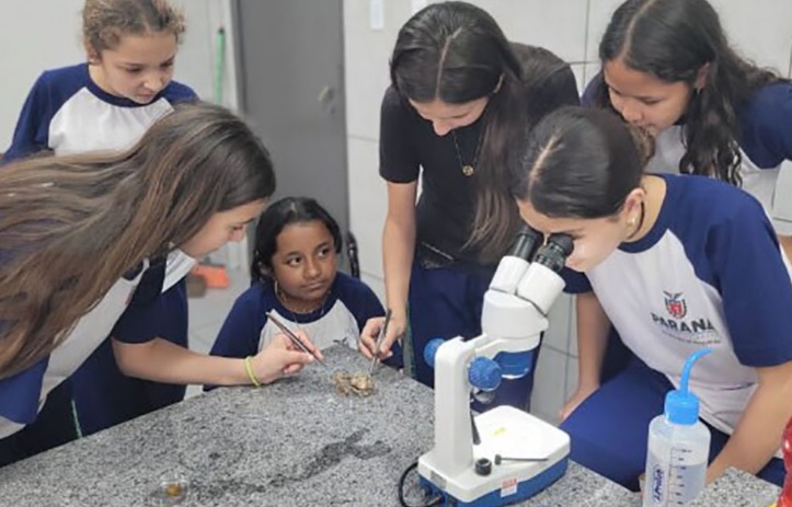 Feira de cultura científica reúne 1,5 mil participantes em Curitiba