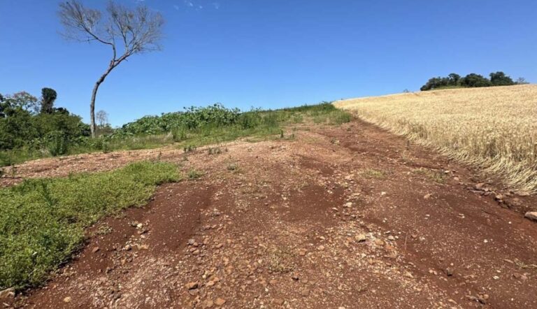 IAT multa R$ 2,9 milhões em operação ambiental no Paraná