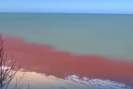 Maré vermelha assusta banhistas na Praia da Pipa