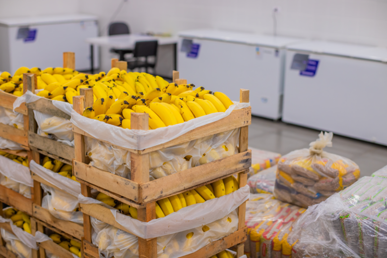 Curitiba amplia compra de alimentos da agricultura familiar para segurança alimentar