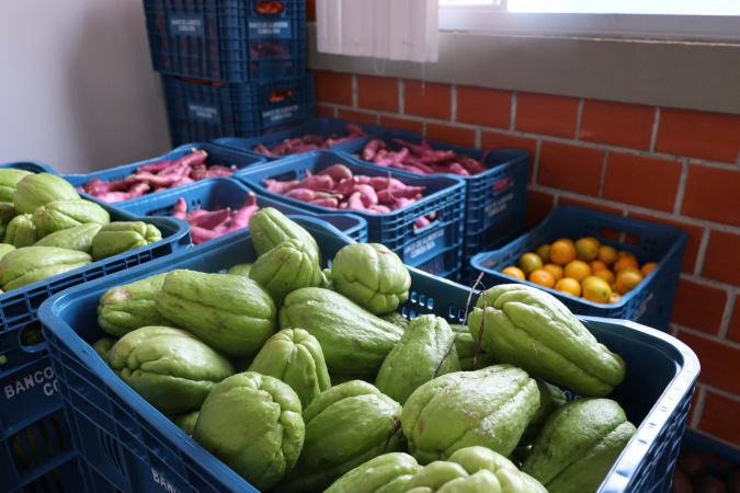 Estado reforça orientações para evitar desperdício de alimentos imperfeitos